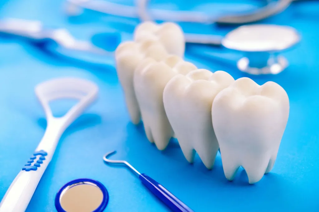 Dental model and dental equipment on blue background